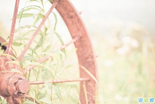 再見十月你好十一月個性說說帶圖片 11月請對我好一點心情說說9