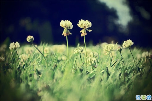 簡(jiǎn)單美好的個(gè)性說(shuō)說(shuō)超級(jí)暖心 2019請(qǐng)多指教2