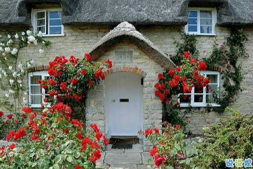 對于感情我認輸?shù)恼f說帶圖片 心碎難過說說感到撕心裂肺12