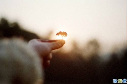 讓對方讀到就覺得心疼的傷感句子 一個人硬撐下去的傷感句子1