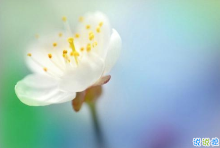 適合這個(gè)年紀(jì)發(fā)的說說朋友圈 簡(jiǎn)單又走心的心情說說引人共鳴2