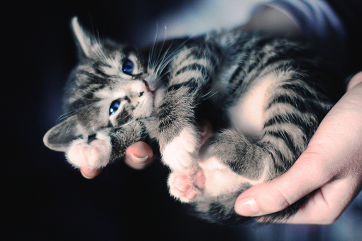 痛到快不能呼吸的傷感說說帶圖片 感到心情低落時(shí)發(fā)的說說13