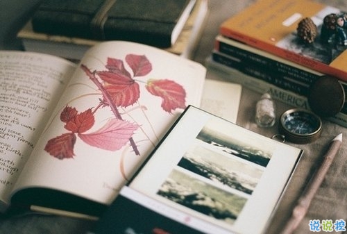 有點(diǎn)傷感的愛(ài)情說(shuō)說(shuō)帶圖片 失去一個(gè)人后是什么感覺(jué) 6