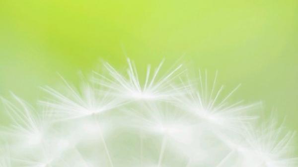 關(guān)于人生的超勵志正能量圖片說說 你優(yōu)秀了自然有對的人與你并肩7