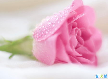 生活很現(xiàn)實(shí)的經(jīng)典說(shuō)說(shuō)帶圖片 關(guān)于生活的勵(lì)志說(shuō)說(shuō)配圖14