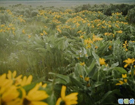 睡覺前的朋友圈晚安說說帶圖片 晚安心語說說心靈雞湯配圖9