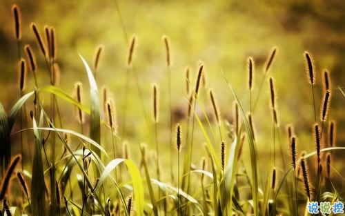 心情郁悶的傷感說(shuō)說(shuō)帶圖片 夜里睡不著覺(jué)的傷感心情說(shuō)說(shuō)配圖1