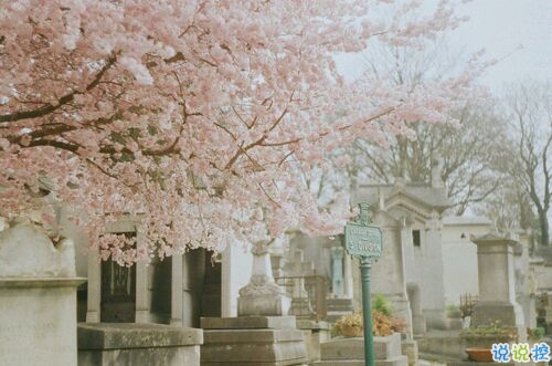 真正喜歡一個人是什么樣子？1