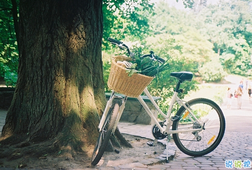 2018再見2019你好勵志說說致自己帶圖片 送給自己的2019說說超勵志3