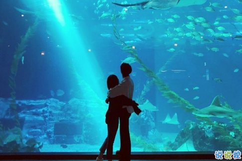 很甜的愛情說說配圖：小學(xué)時，想和喜歡的人同桌；初中時，想和喜歡的人同班6