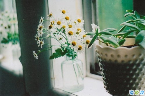 關(guān)于青春成長的哲理雖然簡單一句話但是很有道理的說說帶圖片9