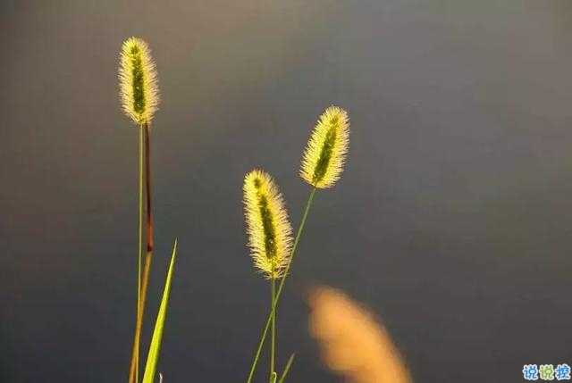 句句說到心坎的句子帶圖片 后來才明白還有一種愛是放手6