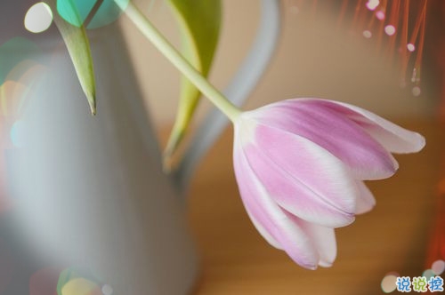 女生跟男朋友撒嬌的說(shuō)說(shuō)帶圖片 女生寫(xiě)給男生的可愛(ài)情話14