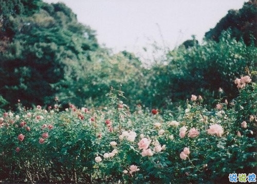 2018再見2019你好勵志說說致自己帶圖片 送給自己的2019說說超勵志2