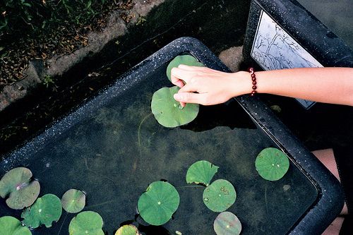 關于生活的有點傷感但很現(xiàn)實的圖片說說 哭也不會改變什么這個世界從來不會對任何人溫柔9
