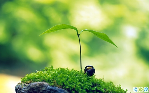 很特別的早安說說大全帶圖片 朋友圈早安心語(yǔ)獨(dú)一無(wú)二吸引人15