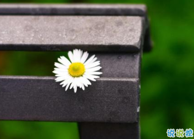 睡不著的傷感晚安說(shuō)說(shuō) 晚上容易想太多的傷感句子2