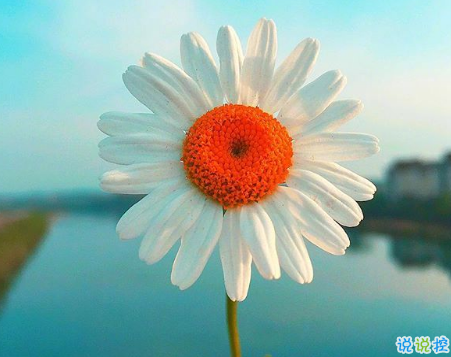 微信朋友圈可愛(ài)句子配圖 女生朋友圈俏皮可愛(ài)的愛(ài)情句子帶圖片9