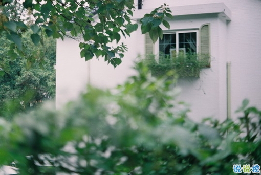 戀愛中那些甜蜜唯美又泛著心酸的句子帶圖 你說今晚月色真美4