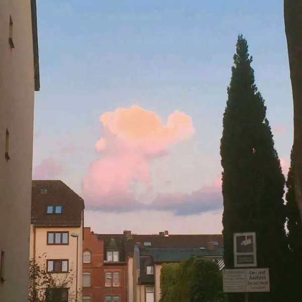 關(guān)于人生和夢(mèng)想的很現(xiàn)實(shí)的經(jīng)典哲理說(shuō)說(shuō)帶圖片5