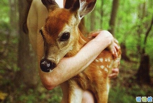 突然不喜歡一個(gè)人/放棄一個(gè)人是一種什么樣的感受？10