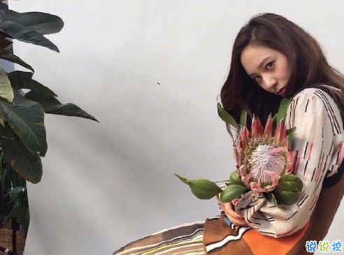 適合女生發(fā)微博的傷感說說加圖片 哪一句觸碰到你內(nèi)心深處8