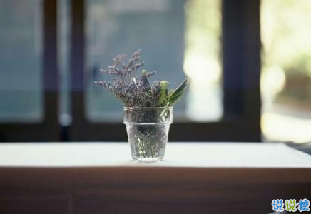 經(jīng)典有道理的說說帶圖片：我讀過很多書，但后來大部分都被我忘記了6