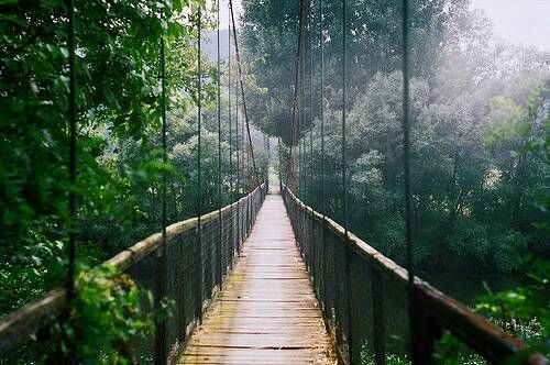 關(guān)于成長人生和愛情的美到讓人心碎的說說帶圖片13