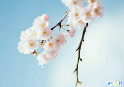 最好朋友領證結婚的祝福說說  2019好閨蜜結婚的說說優(yōu)美好聽2