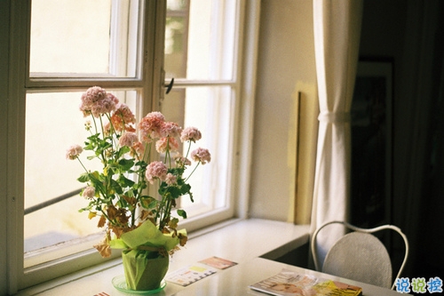 15句撩人的情話表白必備帶圖片 今天最流行的暖心情話合集3