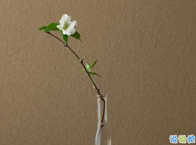 很現(xiàn)實的人生感悟經典句子 人生感悟句句精辟帶圖片4