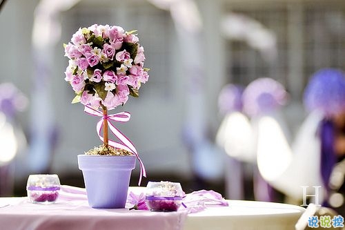 2019四月朋友圈小清新句子帶圖片 四月你好淡淡的陽(yáng)光淡淡的風(fēng)11