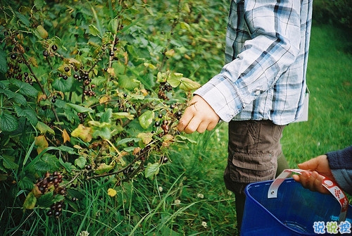 激勵(lì)我們?cè)谌松飞侠^續(xù)走下去的勵(lì)志句子 很正能量陽(yáng)光的句子2