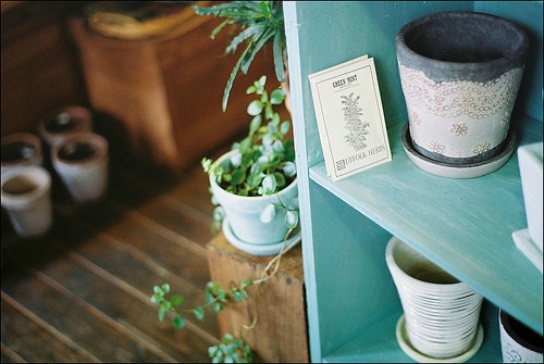 文字控喜歡的有道理又很優(yōu)美有詩意的晚安心語圖片說說7