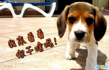 生活中那些搞笑的說(shuō)說(shuō)大全：好看的皮囊嫌你丑，有趣的靈魂厭你俗2