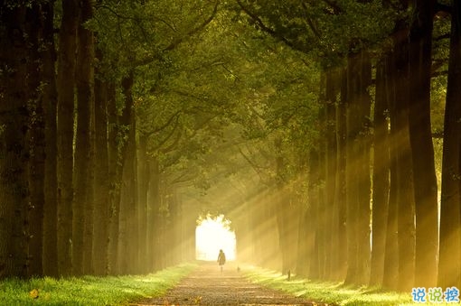 心已被刺透的傷感說說帶圖片 愛情給我太多傷痛的說說心好累7