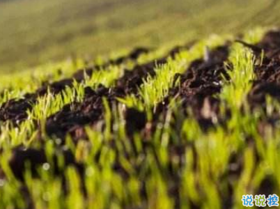 2019谷雨朋友圈說說配圖 谷雨節(jié)發(fā)朋友圈的說說優(yōu)美10