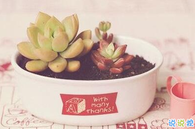 承蒙你出現(xiàn)，夠我喜歡好多年11