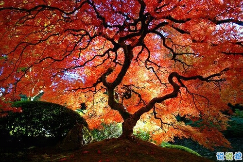 抖音最吸引人的經(jīng)典說(shuō)說(shuō) 發(fā)朋友圈別人點(diǎn)贊必評(píng)的個(gè)性說(shuō)說(shuō)2