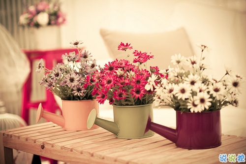 2019三月穿暖花開的說說心情短語 三月來了微信唯美句子大全1