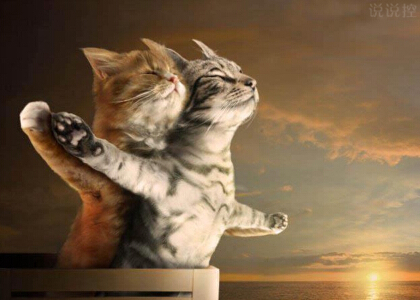 搞笑愛情說說心情短語，搞笑情感說說大全