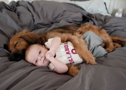 2016最新搞笑說說