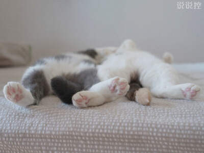 男生搞笑說說大全