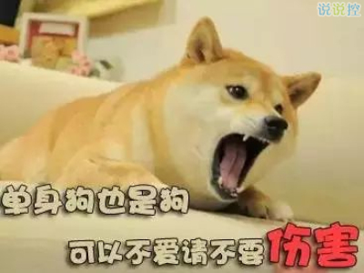 關于單身狗的說說，單身狗搞笑說說