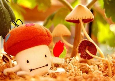 超級搞笑的說說，超級搞笑的段子