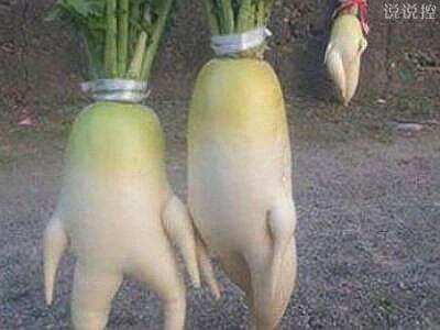 QQ空間搞笑說說