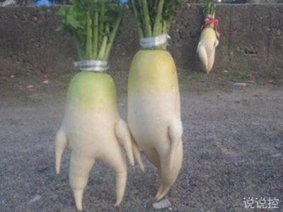 QQ搞笑說說大全