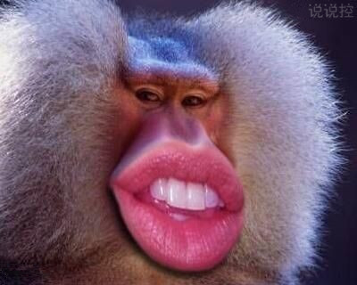 2018搞笑說說大全 2018搞笑說說大全