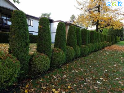 快手熱門搞笑段子，快手搞笑說(shuō)說(shuō)大全1