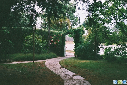 2019元宵節(jié)發(fā)朋友圈的搞笑說說大全 有創(chuàng)意不一樣的元宵節(jié)說說2